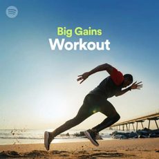 Big Gains Workout