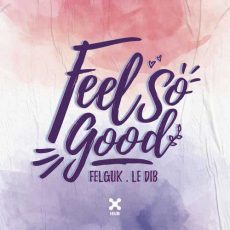 Felguk Le Dib Feel So Good