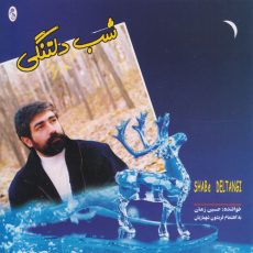 Hosein Zaman - Shabe Deltangi