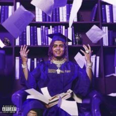 Lil Pump Harverd Dropout