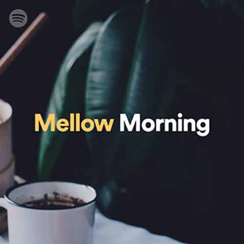 Mellow Morning