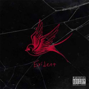 Dennis Lloyd Exident