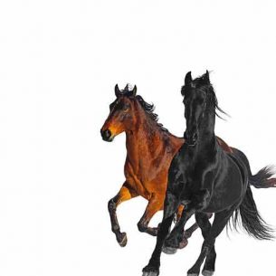Lil Nas X, Billy Ray Cyrus Old Town Road