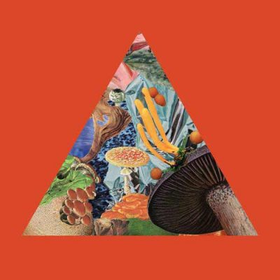 Modest Mouse I'm Still Here