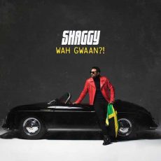 Shaggy Wah Gwaan?!