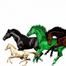 Lil Nas X Old Town Road