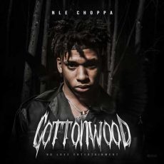 NLE Choppa Cottonwood