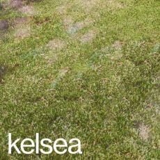Kelsea Ballerini kelsea
