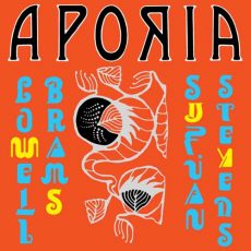 Sufjan Stevens, Lowell Brams Aporia