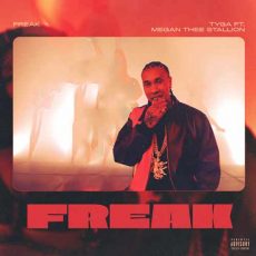 Tyga, Megan Thee Stallion FREAK