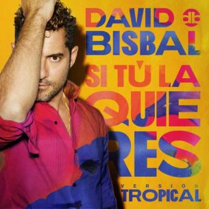 David Bisbal Si Tú La Quieres