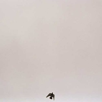 Maverick Sabre You Know How It Feels