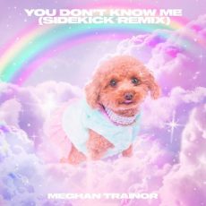 Meghan Trainor You Don't Know Me (Sidekick Remix)