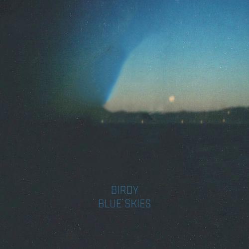 Birdy Blue Skies