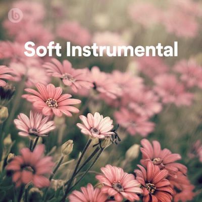 Soft Instrumental