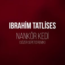 İbrahim Tatlıses Nankör Kedi
