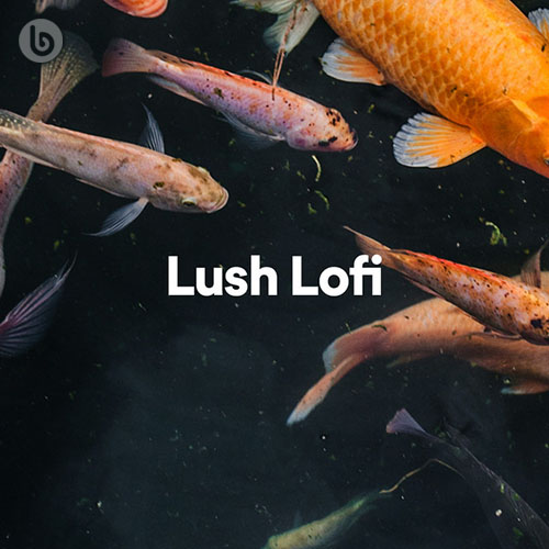 Lush Lofi