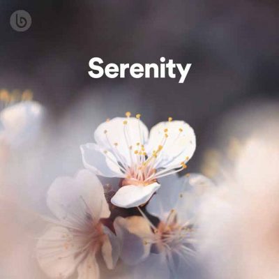 Serenity Playlist