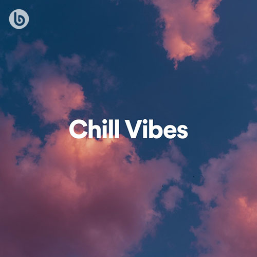 Chill Vibes