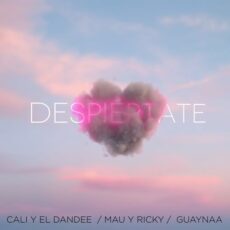 Cali Y El Dandee Mau y Ricky Guaynaa Despiértate