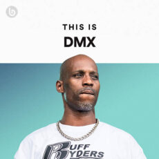 This Is DMX