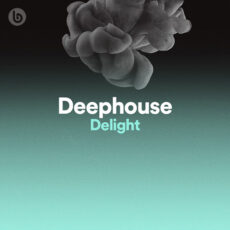 Deephouse Delight