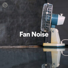 Fan Noise