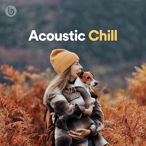 Acoustic Chill