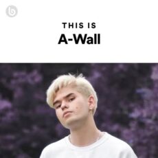 This Is A-Wall