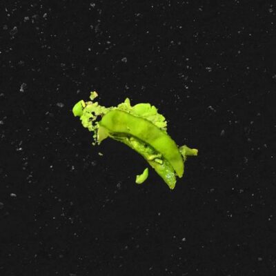 Bbno$ Rich Brian edamame