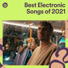 Best Electronic Songs of 2021