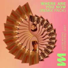 Lost Frequencies Calum Scott Kungs Where Are You Now (Remix Pack)