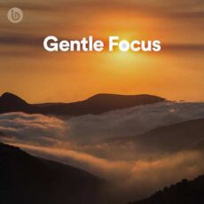 Gentle Focus