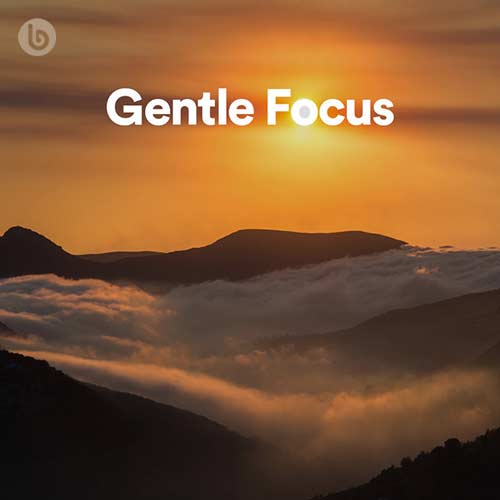Gentle Focus