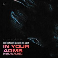 Topic Robin Schulz Nico Santos Paul van Dyk In Your Arms (For An Angel)