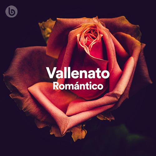 Vallenato Romántico