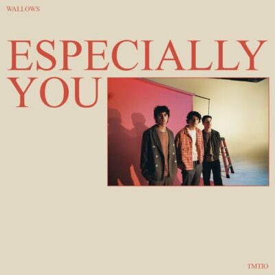 Wallows Especially You
