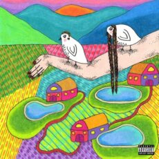 Still Woozy Still Woozy Pool