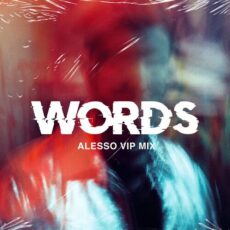 Alesso Zara Larsson Words (Alesso VIP Mix)