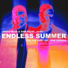 Jonas Blue Sam Feldt Sam DeRosa Endless Summer Till The End