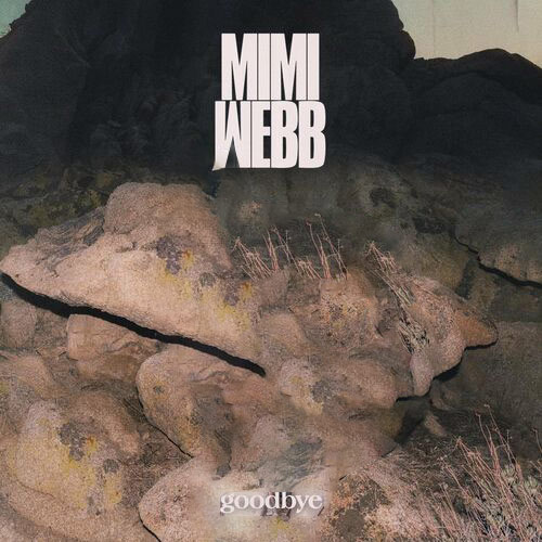 Mimi Webb Goodbye