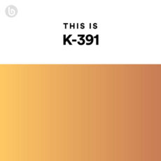 This Is K-391