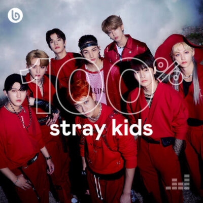 100% Stray Kids