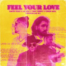 Dimitri Vegas & Like Mike Timmy Trumpet Edward Maya Feel Your Love (Tomorrowland Mix)