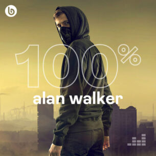 100% Alan Walker