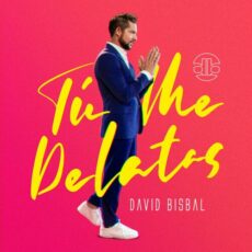 David Bisbal Tú Me Delatas