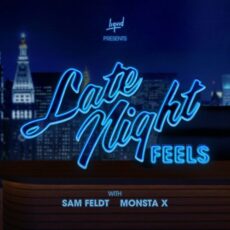 Sam Feldt MONSTA X Late Night Feels