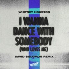 Whitney Houston David Solomon I Wanna Dance with Somebody (Who Loves Me)