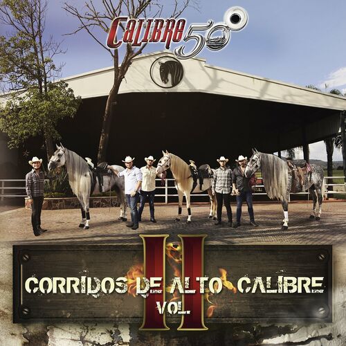 Corridos De Alto Calibre Vol. II