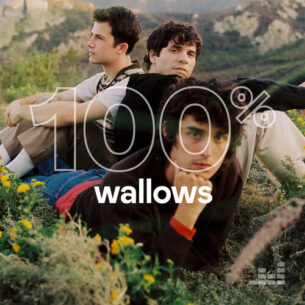 100 Wallows